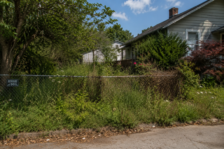 An overgrown front yard with tall weeds, overgrown shrubs, and a rusted chain-link fence illustrating how a neglected neighboring property can affect curb appeal.